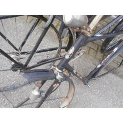 Gazelle Frame Impala