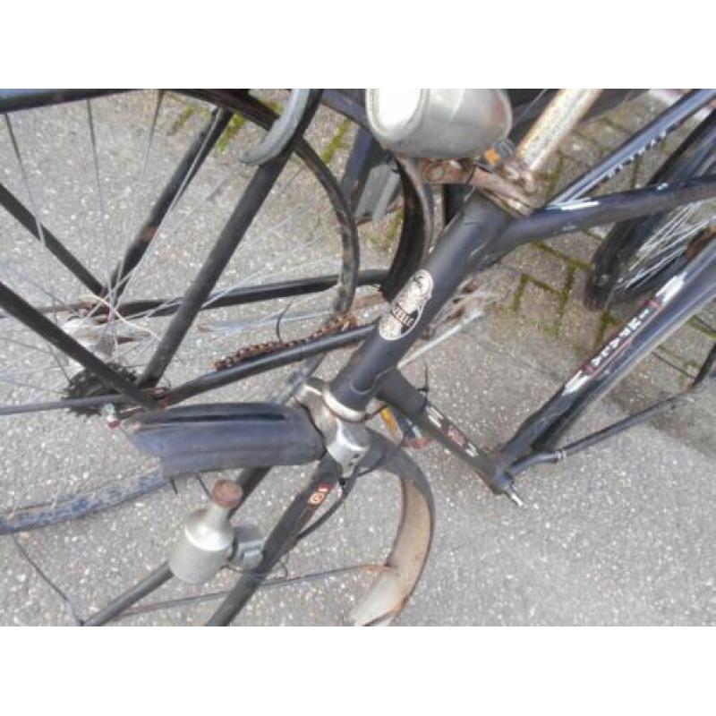 Gazelle Frame Impala