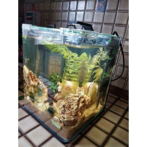 Aquarium nano Dennerle 10 L