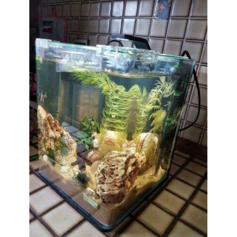 Aquarium nano Dennerle 10 L
