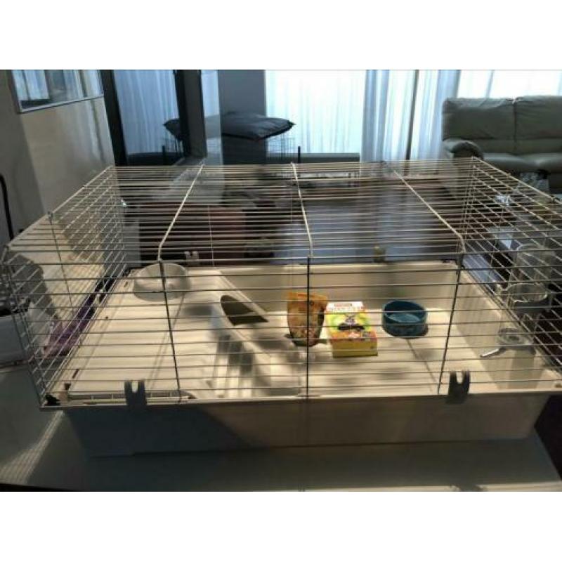Konijnen kooi cavia kooi groot