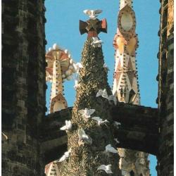 GAUDI - het complete werk - fotoboek - Cuito, Montes