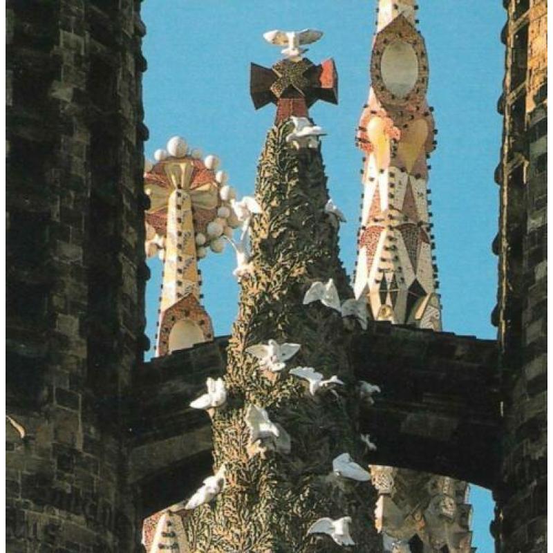 GAUDI - het complete werk - fotoboek - Cuito, Montes