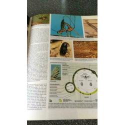 Grote geïllustreerde dierenatlas