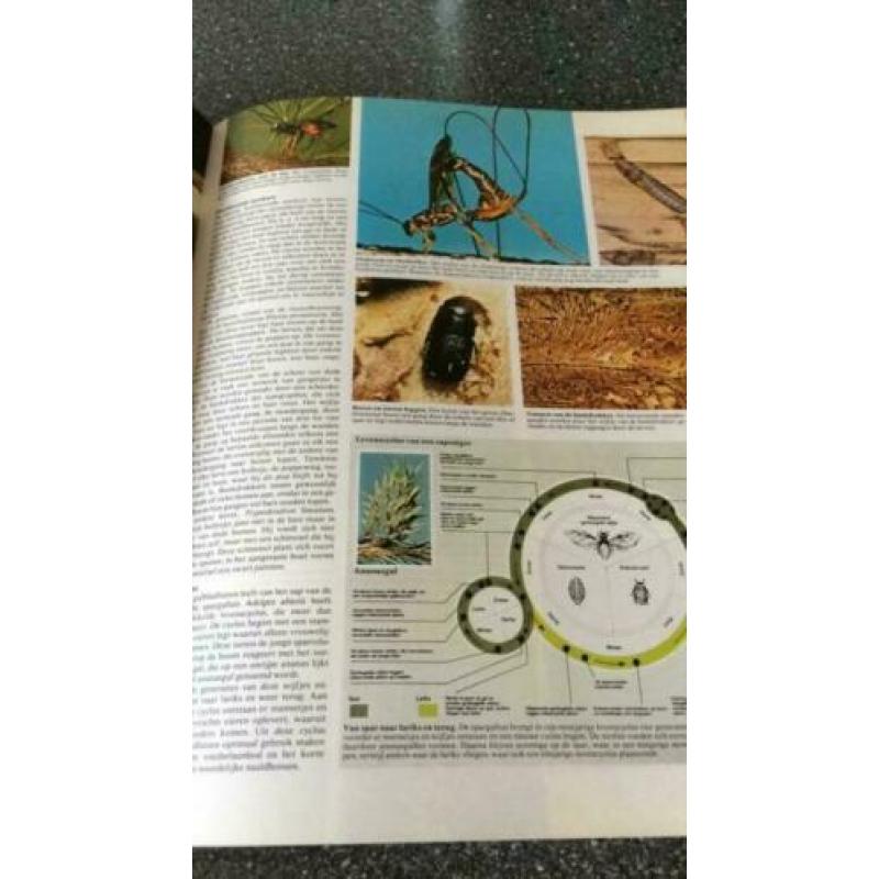 Grote geïllustreerde dierenatlas