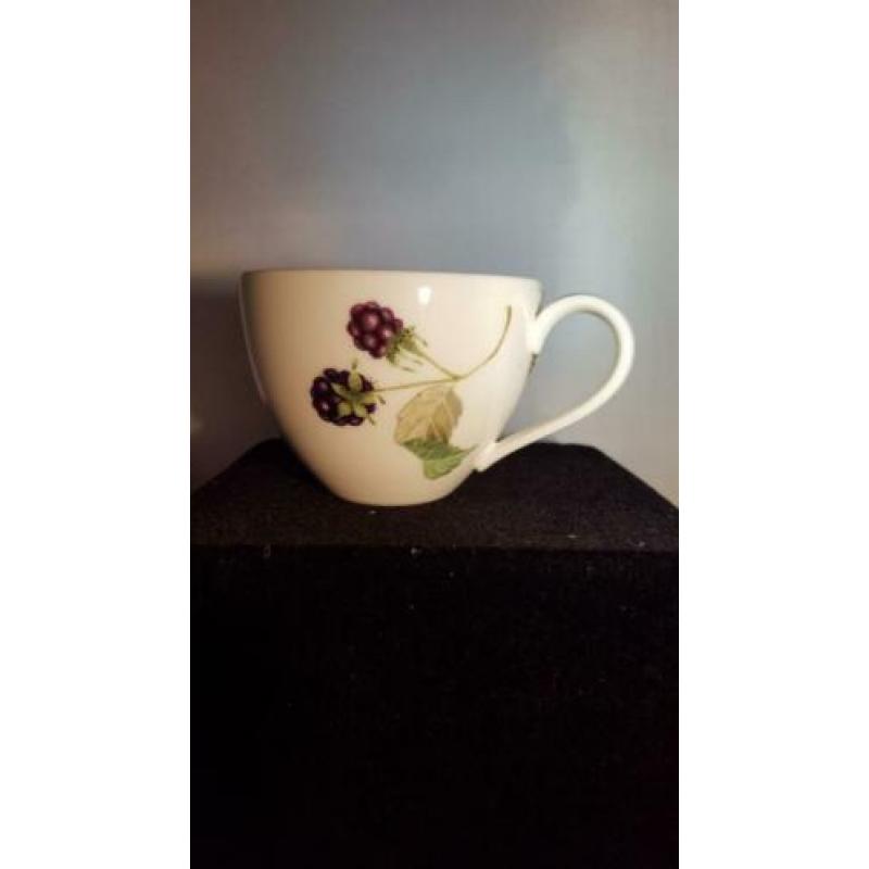 Wildberries Villeroy &Boch 1 x kop en schotel