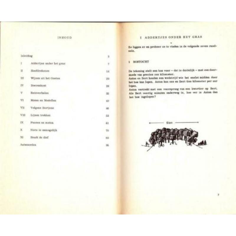 Doordenkertjes (puzzels, moordmysteries, rekenraadsels enz.)