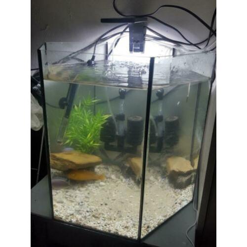 Aquarium