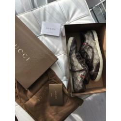 Gucci Barcelona maat 37