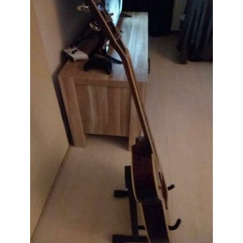Ibanez AEG 12ii NHM