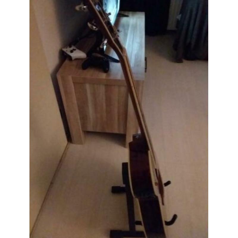 Ibanez AEG 12ii NHM