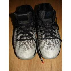 Air jordan zaalsport schoenen maat 40