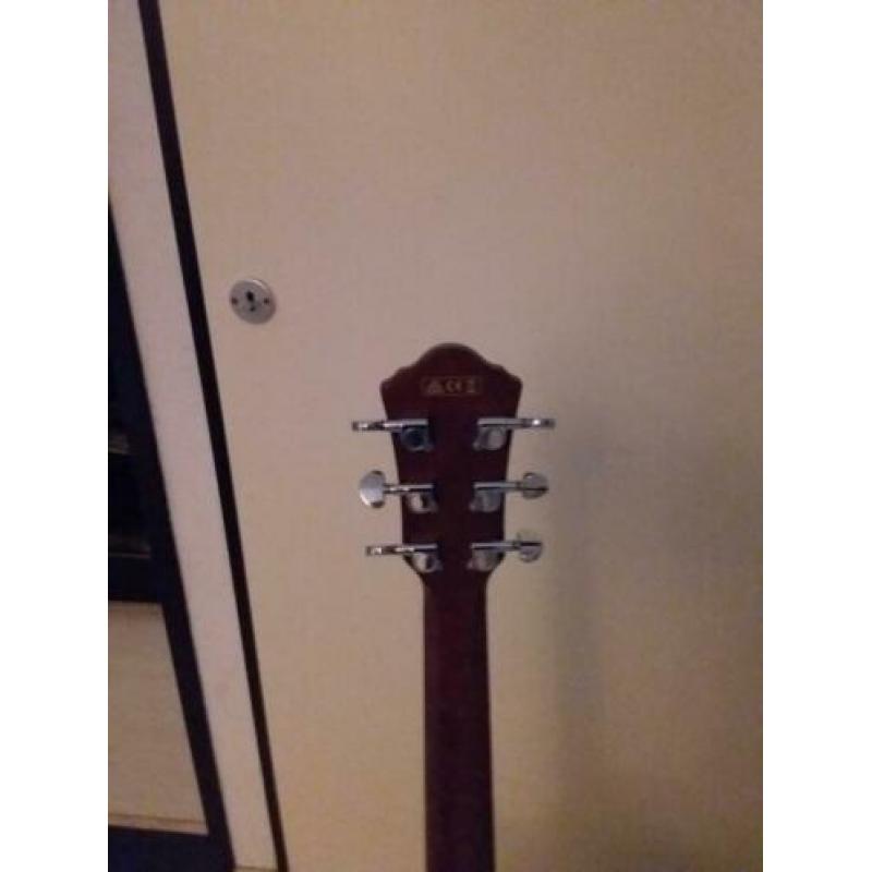 Ibanez AEG 12ii NHM