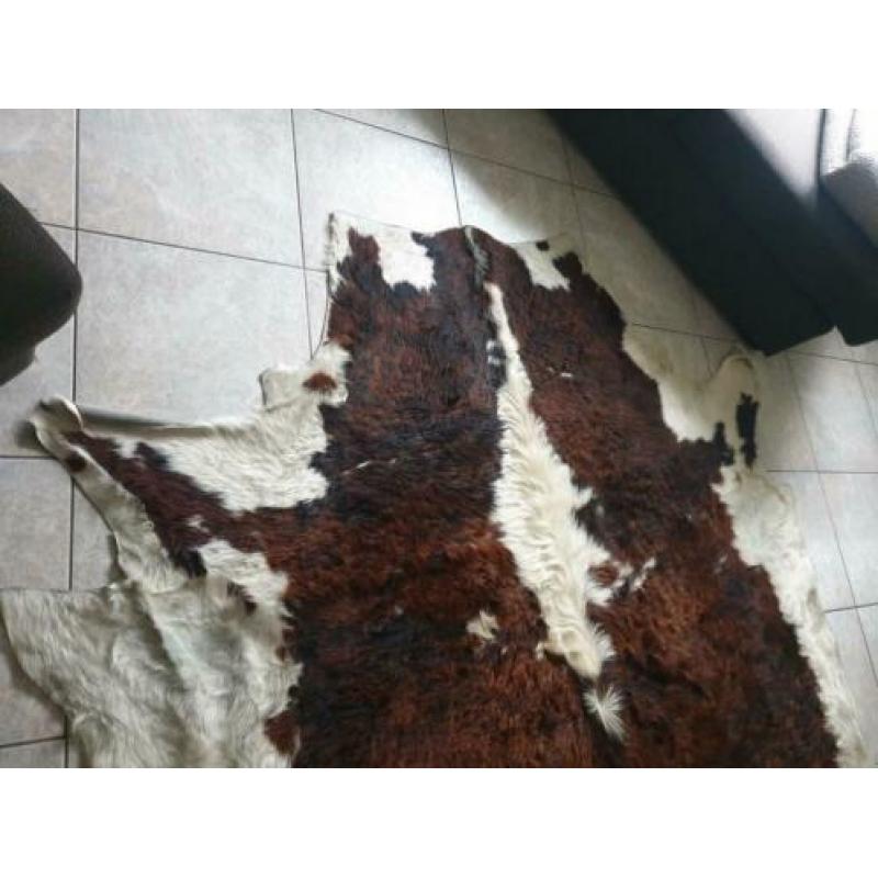 Koeienkleed Super Groot