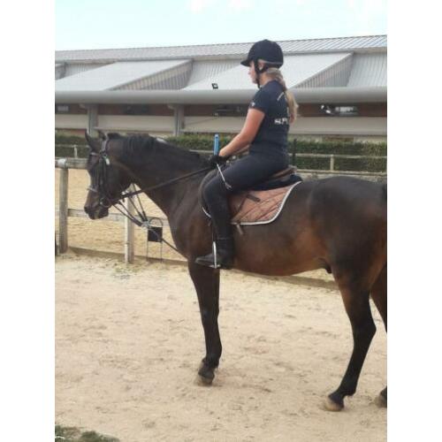 Verzorg pony/paard gezogt ?
