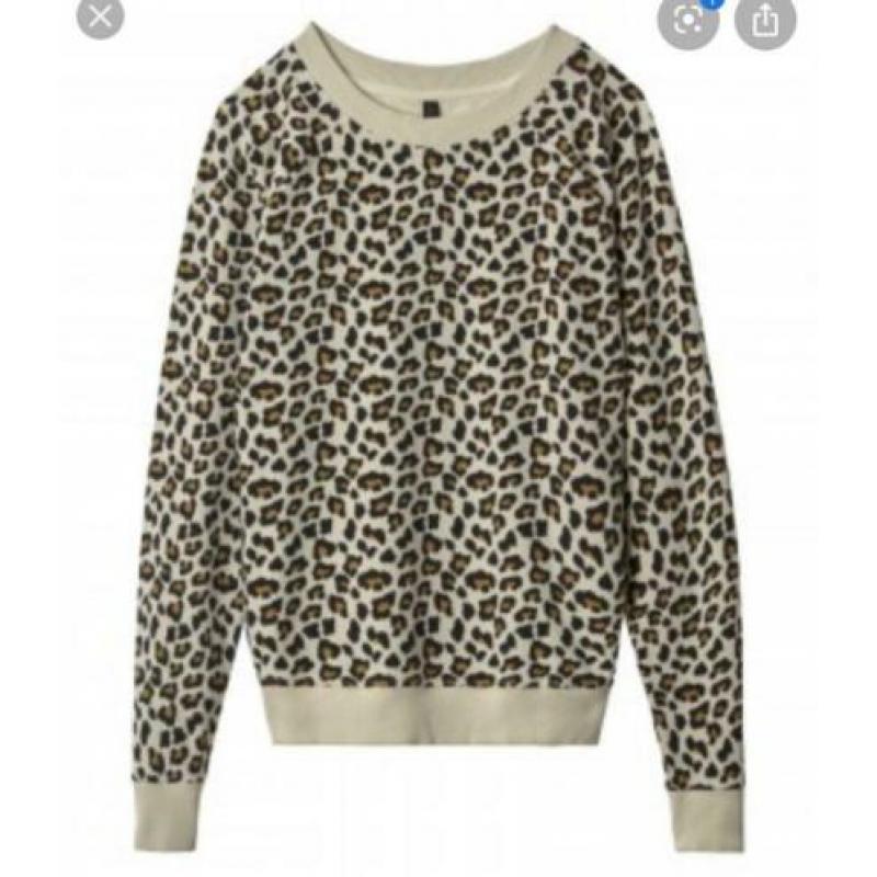 10 days trui Leopard zgan