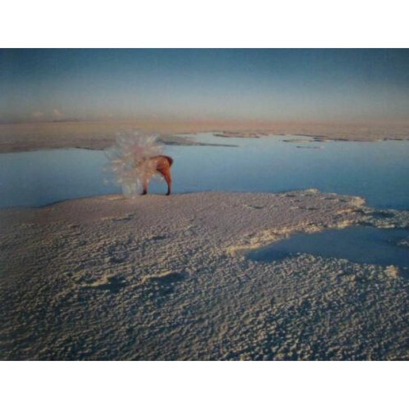 Scarlett Hooft Graafland in Altiplano