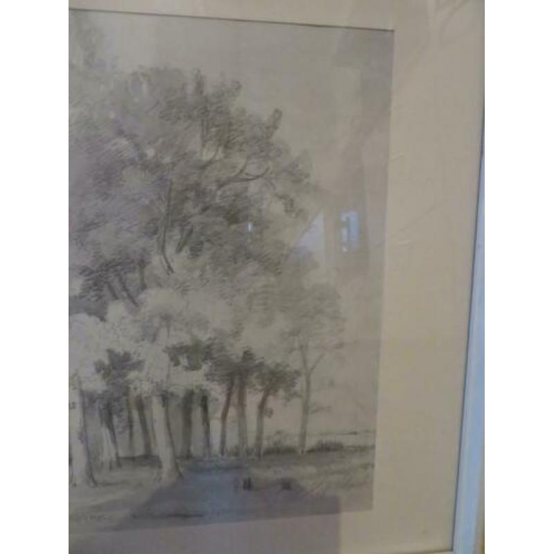 Schilderij bomen en boerderij; in potlood met aquarel.