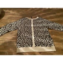 10 days trui Leopard zgan