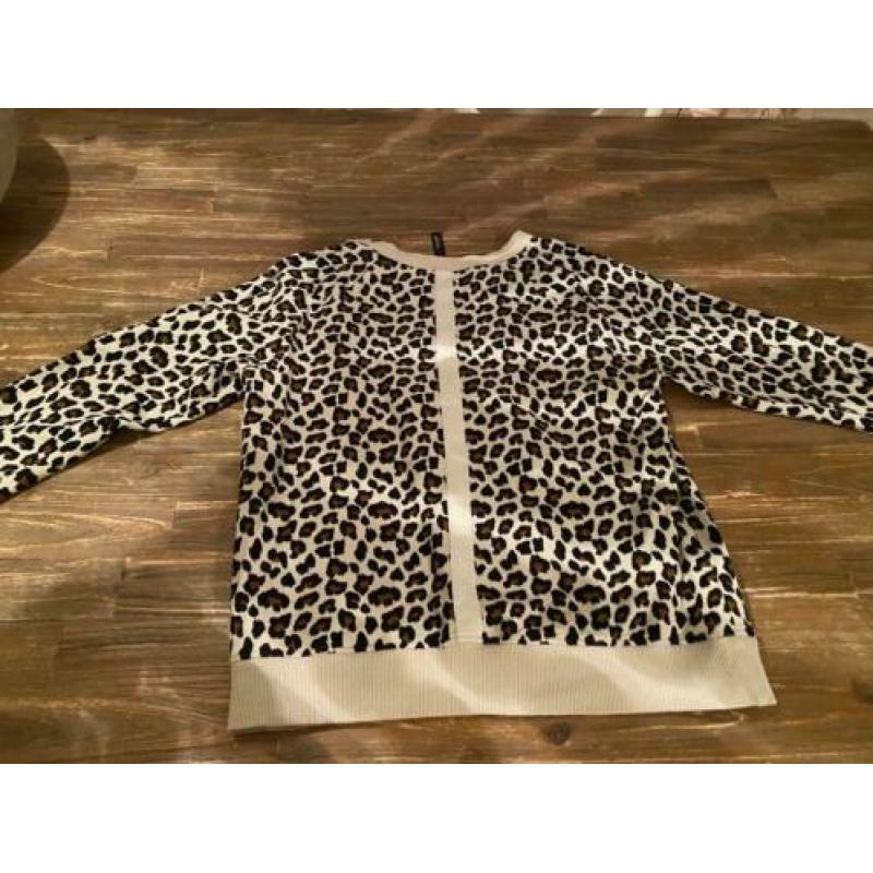 10 days trui Leopard zgan