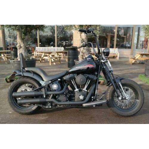 Harley-Davidson FLSTSB (bj 2010)
