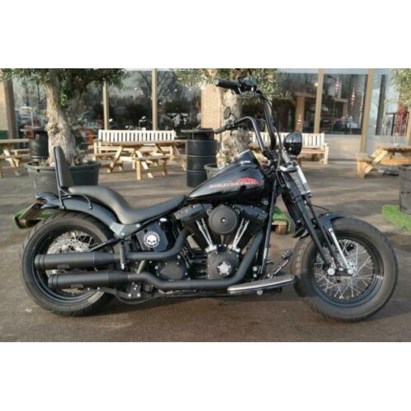 Harley-Davidson FLSTSB (bj 2010)