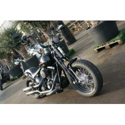 Harley-Davidson FLSTSB (bj 2010)