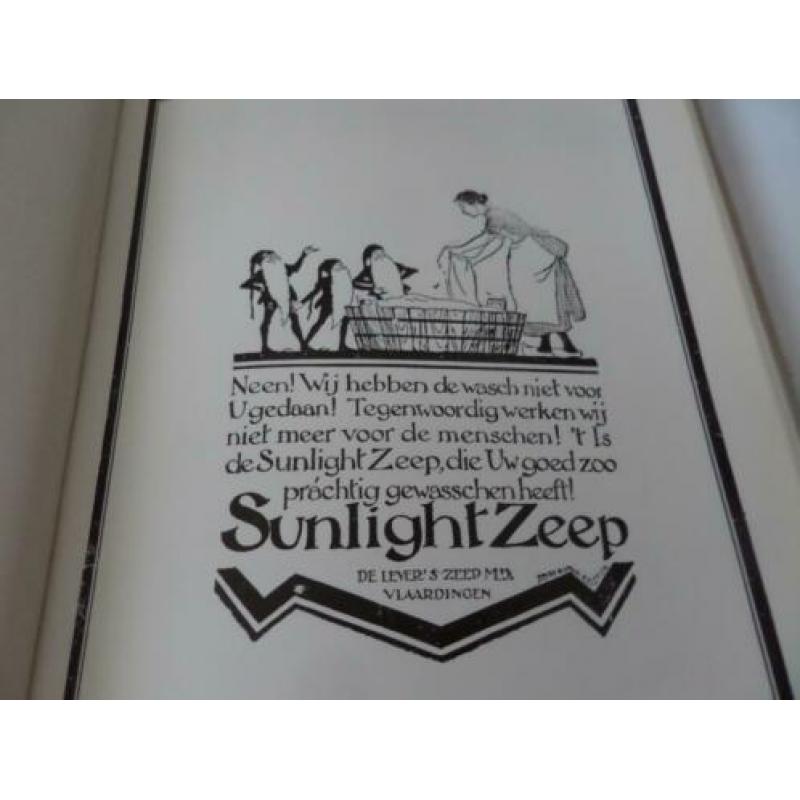 sunlight