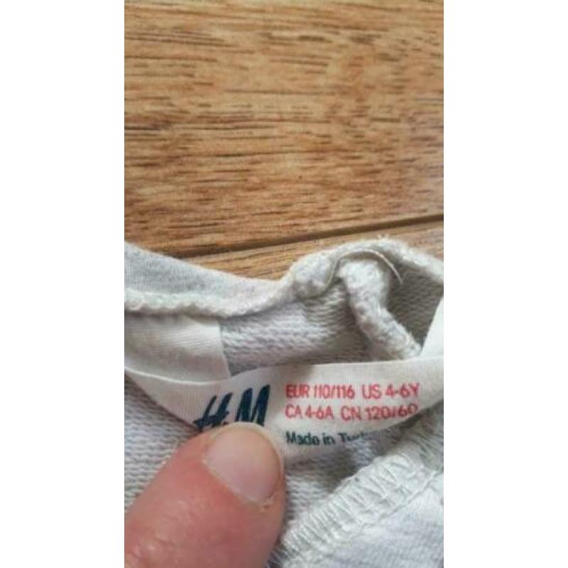 Leuke jurkjes tuniek maat 110/116 hema