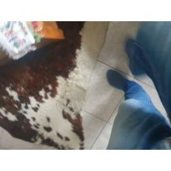 Koeienkleed Super Groot