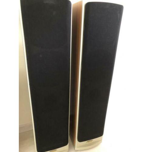 Tannoy Saturn S6 spelen geweldig zien er redelijk goed uit.
