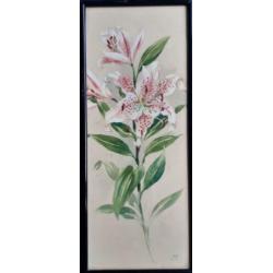Jan Voerman Jr. aquarel lelie