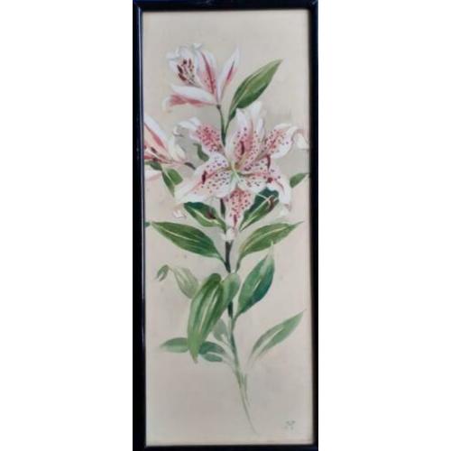 Jan Voerman Jr. aquarel lelie