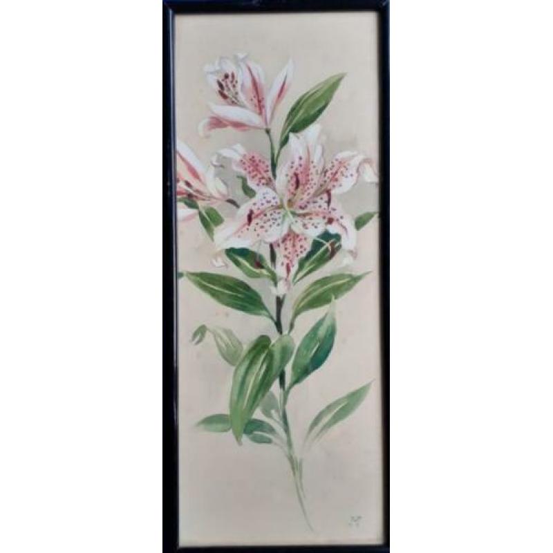 Jan Voerman Jr. aquarel lelie