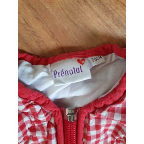 slaapzak rood wit geruit maat 70