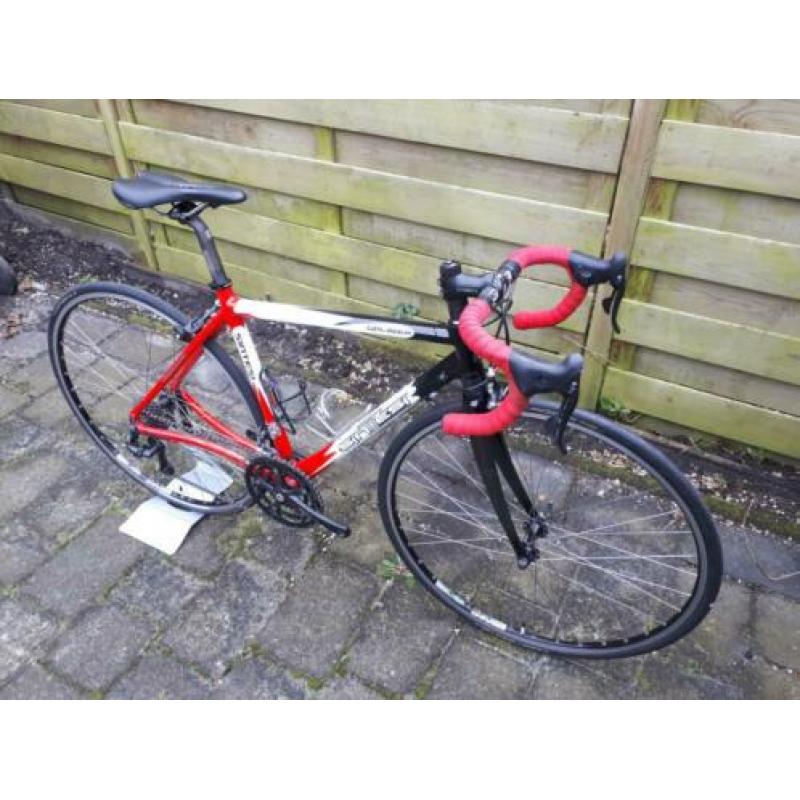 Dames racefiets Sintesi Galibier