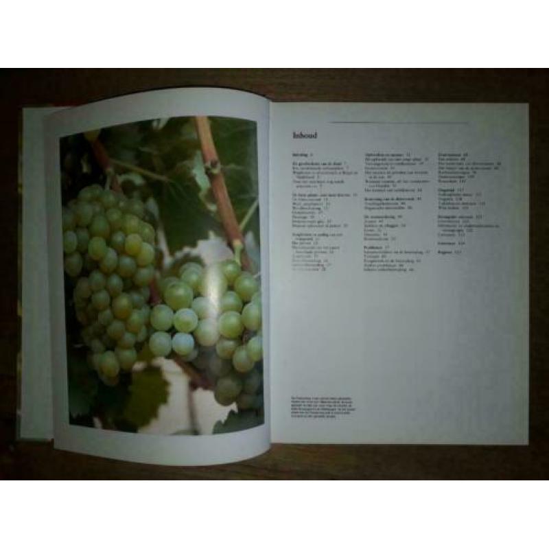 Het complete druivenboek - 9789021004839