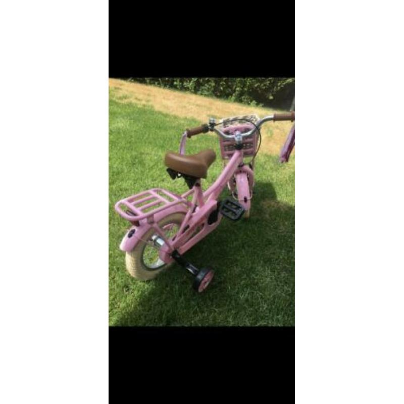 Popal cooper 12 inch