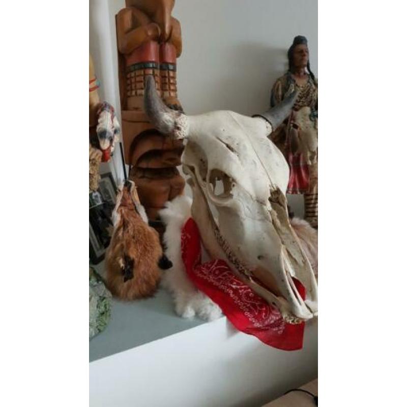 Complete schedel, mancave, tattoo shop, landelijk, stoer.