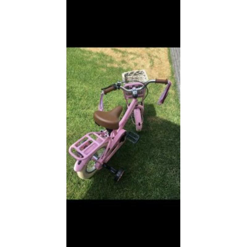 Popal cooper 12 inch