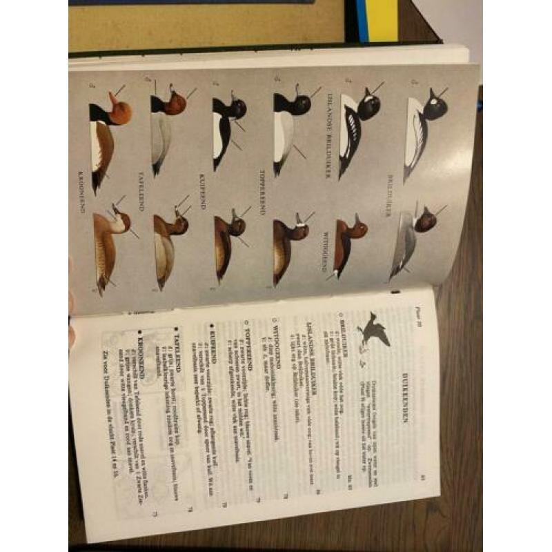 Petersons vogelgids van alle Europese vogels, elfde druk