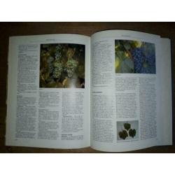 Het complete druivenboek - 9789021004839