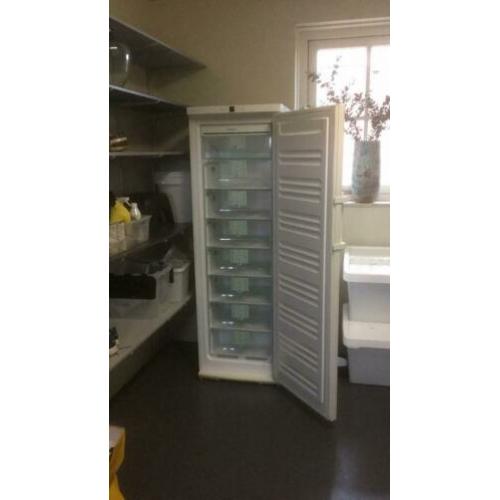 Diepvries kast