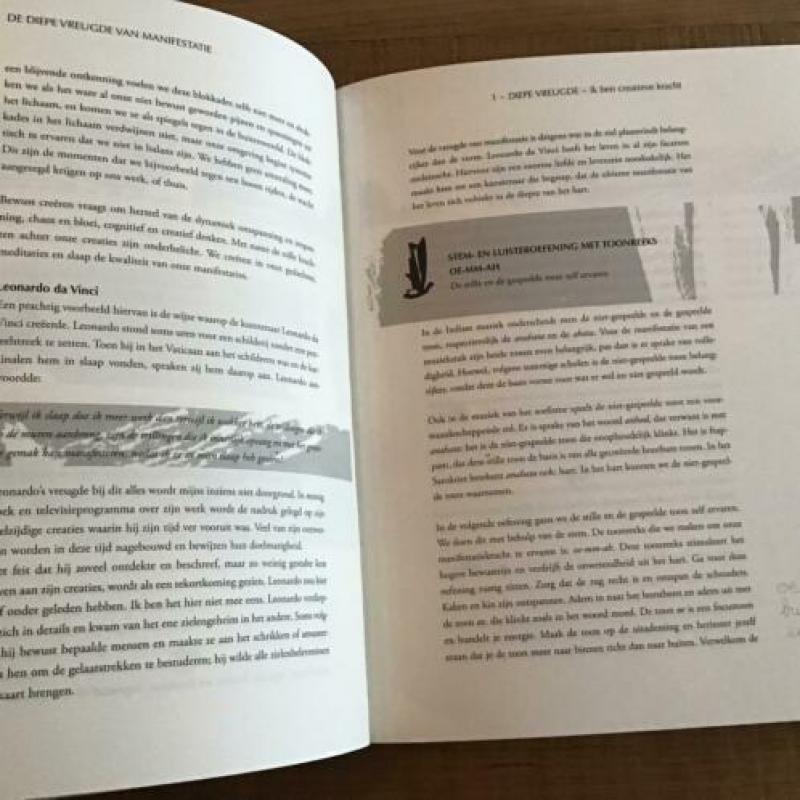 De diepe vreugde van manifestatie - Loucas van den Berg