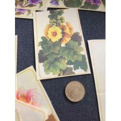 Oude hobby bloemen plaatjes
