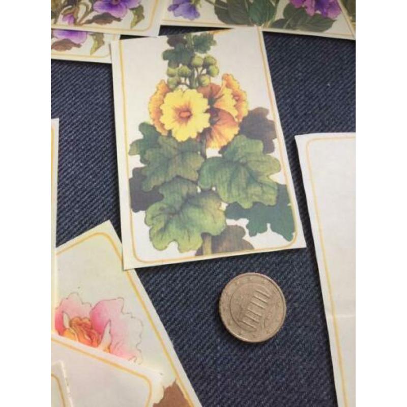 Oude hobby bloemen plaatjes