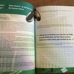 De eerste stappen op weg naar Jezus - Werkboek voor geesteli