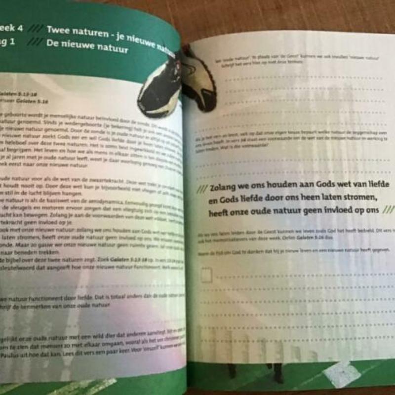 De eerste stappen op weg naar Jezus - Werkboek voor geesteli