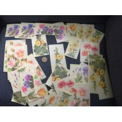 Oude hobby bloemen plaatjes