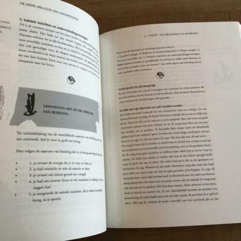 De diepe vreugde van manifestatie - Loucas van den Berg